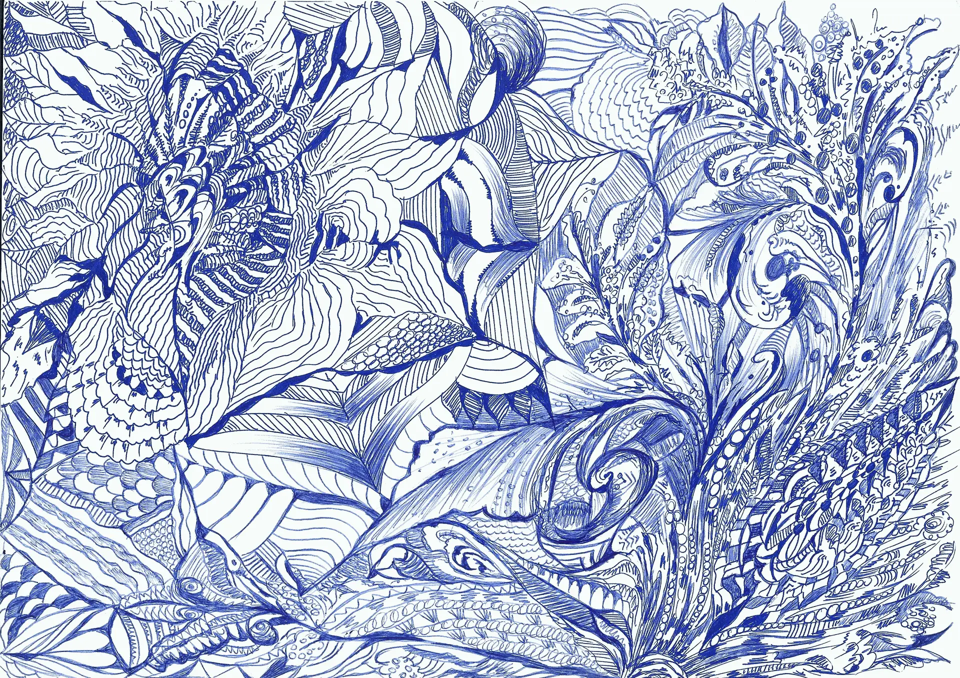 Lucyna Lenkiewicz - Rysunek Intuicyjny